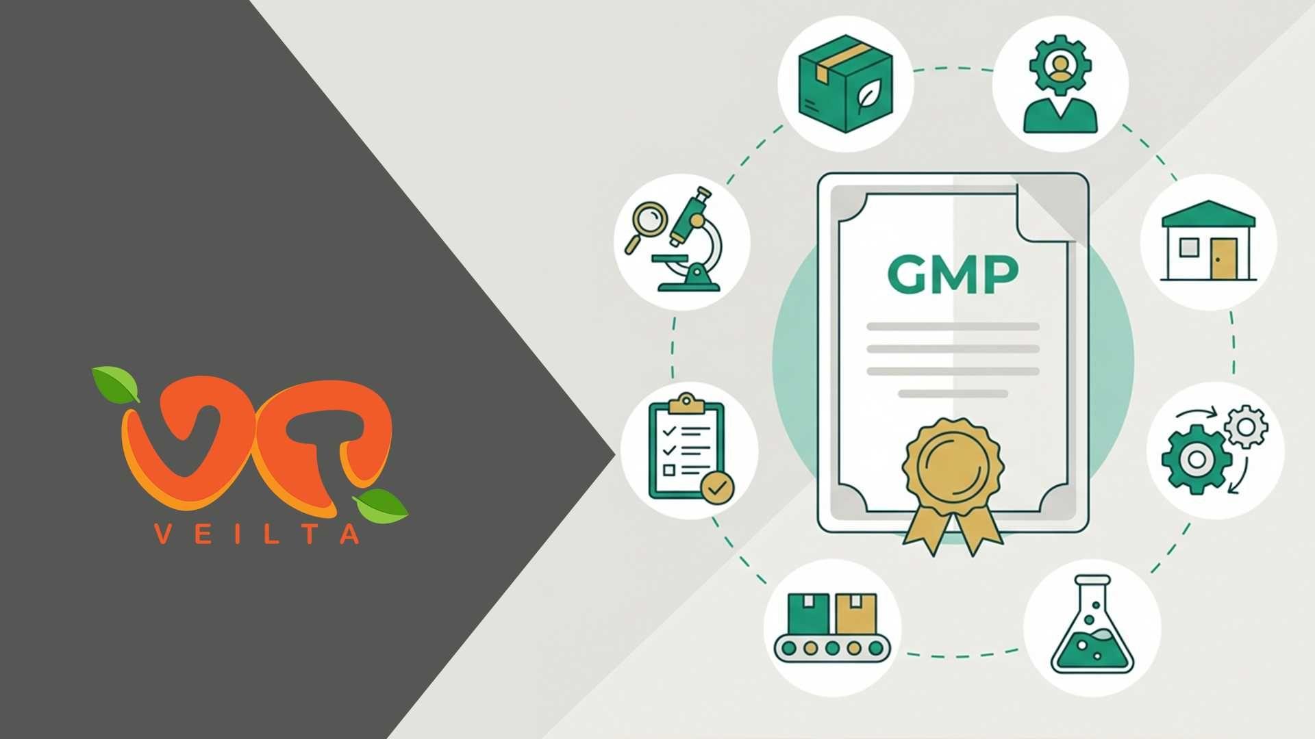 GMP Cosmetics Manufacturing: ISO 22716 & What It Covers