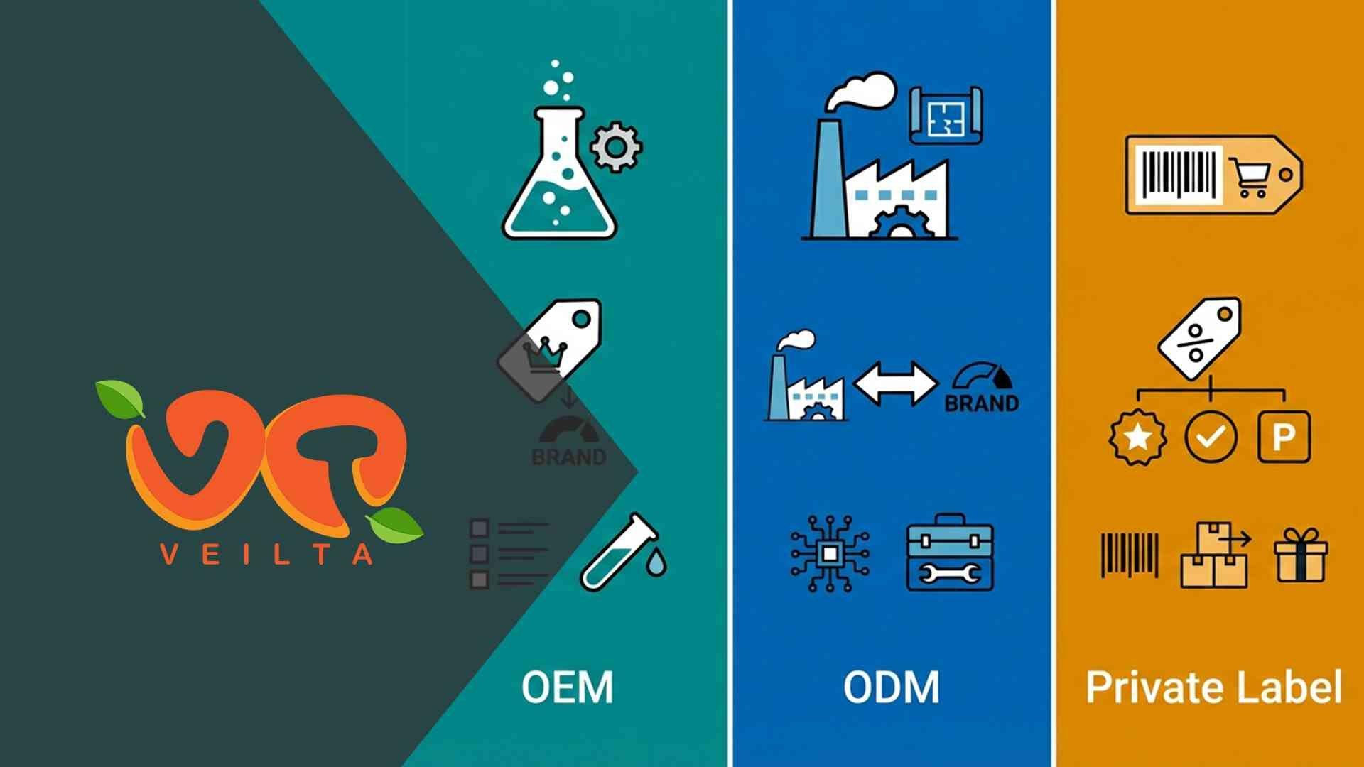 OEM vs ODM vs Private Label: Which Model Fits You?